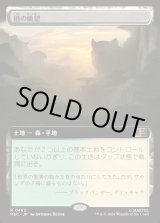 画像: 【日本語版】【拡張枠】梢の眺望/Canopy Vista