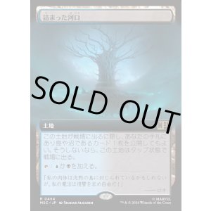 画像: 【日本語版】【拡張枠】詰まった河口/Choked Estuary