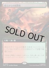 画像: 【日本語版】【拡張枠】燃えがらの林間地/Cinder Glade