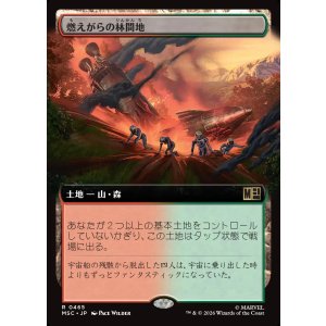 画像: 【日本語版】【拡張枠】燃えがらの林間地/Cinder Glade