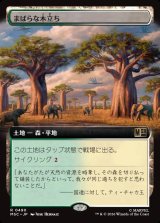 画像: 【日本語版】【拡張枠】まばらな木立ち/Scattered Groves