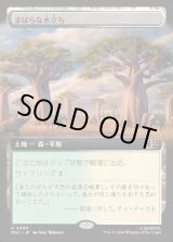 画像: 【日本語版】【拡張枠】まばらな木立ち/Scattered Groves