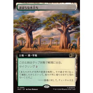 画像: 【日本語版】【拡張枠】まばらな木立ち/Scattered Groves