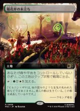 画像: 【日本語版】【拡張枠】陽花弁の木立ち/Sunpetal Grove