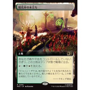 画像: 【日本語版】【拡張枠】陽花弁の木立ち/Sunpetal Grove