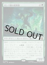 画像: 【日本語版】ガンマ線の変異体/Gamma Grotesque