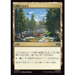 画像: 【日本語版】興隆する木立/Thriving Grove