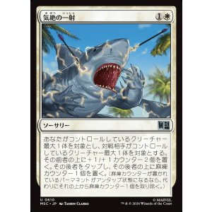 画像: 【Foil】【日本語版】気絶の一射/Stunning Shot