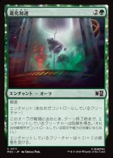 画像: 【Foil】【日本語版】進化加速/Accelerated Evolution
