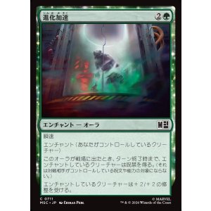 画像: 【Foil】【日本語版】進化加速/Accelerated Evolution