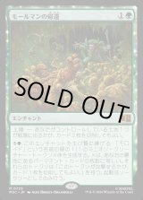 画像: 【Foil】【日本語版】モールマンの帰還/Return of the Mole Man
