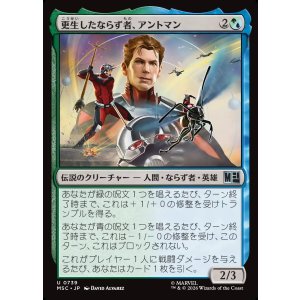 画像: 【Foil】【日本語版】更生したならず者、アントマン/Ant-Man, Reformed Rogue