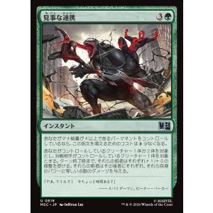 画像: 【Foil】【日本語版】見事な連携/Terrific Team-Up