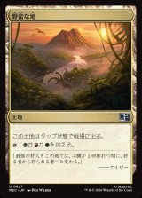 画像: 【Foil】【日本語版】野蛮な地/Savage Lands