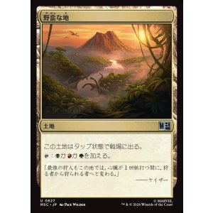 画像: 【Foil】【日本語版】野蛮な地/Savage Lands