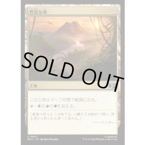 画像: 【Foil】【日本語版】野蛮な地/Savage Lands