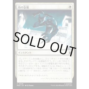 画像: 【日本語版】豹の急襲/Panther Pounce