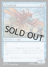 画像: 【日本語版】巨大な飛行蟻/Giant-Sized Flying Ant