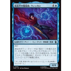 画像: 【Foil】【日本語版】成長中の魔術師、ウィッカン/Wiccan, Rising Magician