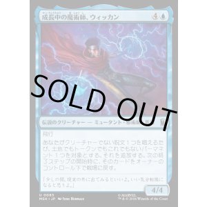 画像: 【日本語版】成長中の魔術師、ウィッカン/Wiccan, Rising Magician