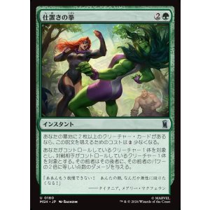 画像: 【日本語版】仕置きの拳/Punishing Punch