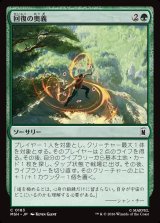 画像: 【Foil】【日本語版】回復の奥義/Restorative Technique