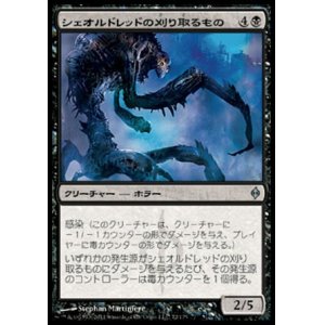 画像: 【日本語版】シェオルドレッドの刈り取るもの/Reaper of Sheoldred