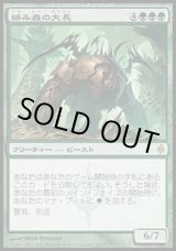 画像: 【日本語版】絡み森の大長/Chancellor of the Tangle