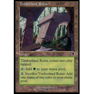 画像: 【日本語版】森林地の廃墟/Timberland Ruins