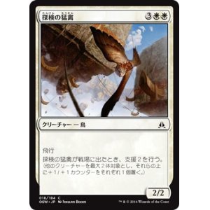 画像: 【日本語版】探検の猛禽/Expedition Raptor