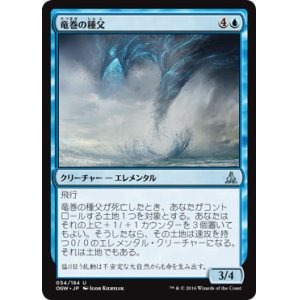 画像: 【日本語版】竜巻の種父/Cyclone Sire