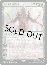 画像: 【Foil】【日本語版】向上した精霊信者、ニッサ/Nissa, Ascended Animist