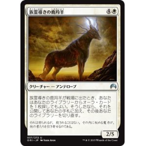 画像: 【日本語版】族霊導きの鹿羚羊/Totem-Guide Hartebeest