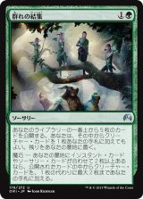 画像: 【日本語版】群れの結集/Gather the Pack