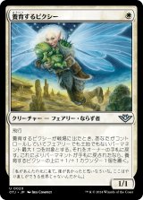 画像: 【日本語版】養育するピクシー/Nurturing Pixie