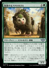 画像: 【日本語版】放浪するフクロネズミ/Rambling Possum