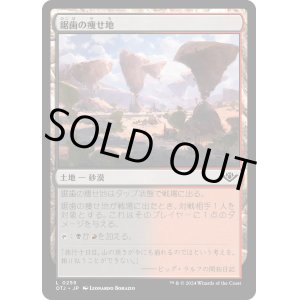 画像: 【日本語版】鋸歯の痩せ地/Jagged Barrens