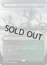 画像: 【ボーダーレス】【日本語版】花盛りの湿地/Blooming Marsh