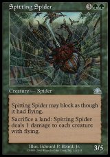 画像: 【日本語版】毒吐き蜘蛛/Spitting Spider