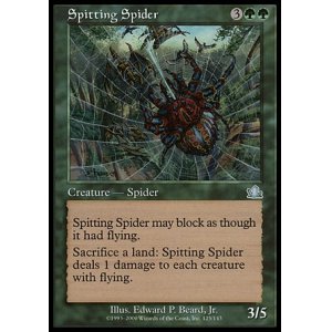 画像: 【日本語版】毒吐き蜘蛛/Spitting Spider