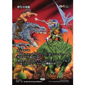 画像: 【ボーダーレス】【日本語版】野生の律動/Rhythm of the Wild