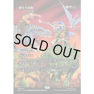 画像: 【ボーダーレス】【日本語版】野生の律動/Rhythm of the Wild