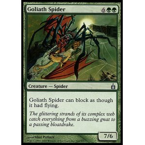 画像: 【日本語版】巨体の蜘蛛/Goliath Spider