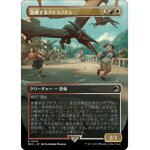 画像: 【Foil】【日本語版】急襲するプテラノドン/Swooping Pteranodon
