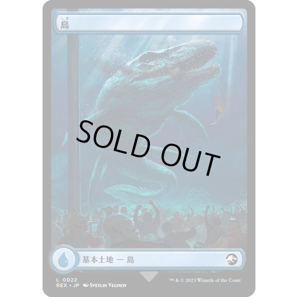 画像1: 【Foil】【日本語版】島/Island (1)