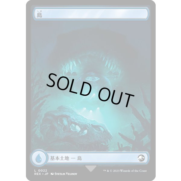 画像2: 【Foil】【日本語版】島/Island (2)