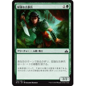 画像: 【日本語版】屈強な古参兵/Hardy Veteran