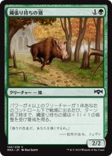 画像: 【日本語版】縄張り持ちの猪/Territorial Boar