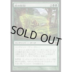 画像: 【日本語版】熊の陰影/Bear Umbra