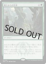 画像: 【日本語版】壌土からの生命/Life from the Loam